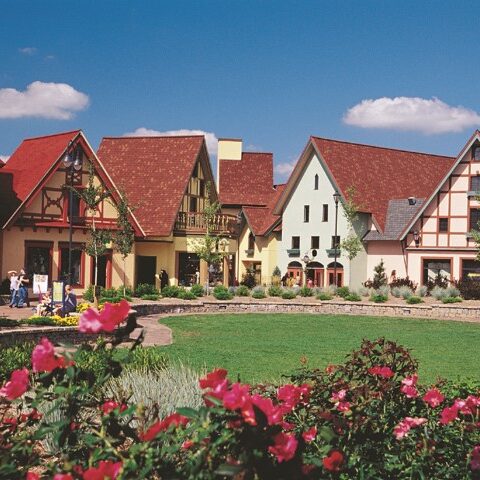 Saginaw nearby attractions