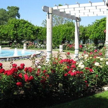 Saginaw nearby attractions